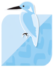 Crusader Academy Badge.png